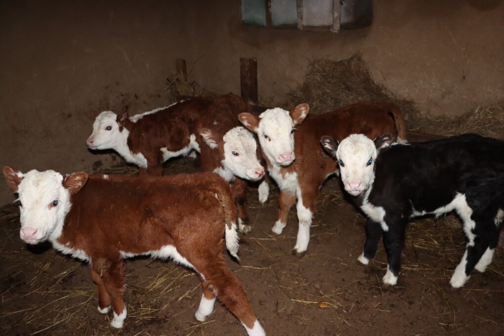 image-26-02-26-06-51-5