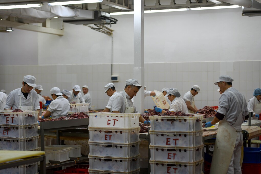 кублей - консерва (86)