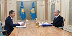 Глава государства принял председателя Центральной комиссии референдума Нурлана Абдирова