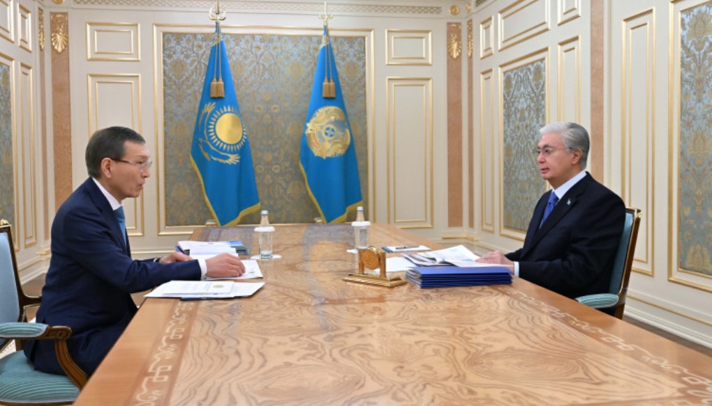 Глава государства принял председателя Центральной комиссии референдума Нурлана Абдирова