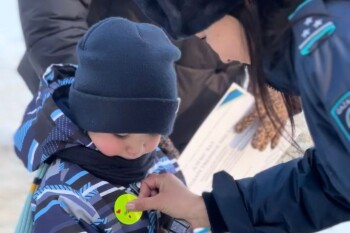 образцовый пешеход (1)