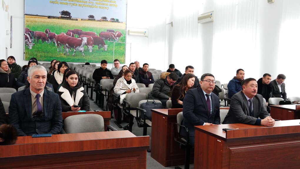 референдум - СХ - Мади Салык (2)