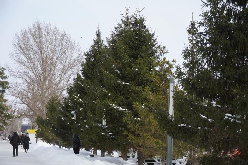 жп Абай көшесі қыс (5)