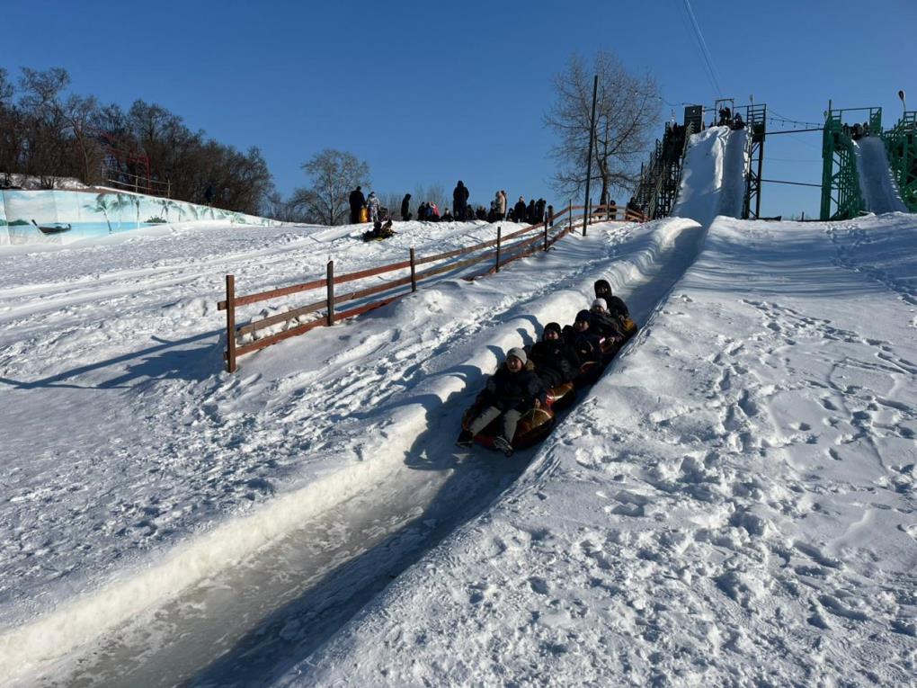 жп светлечок (8)