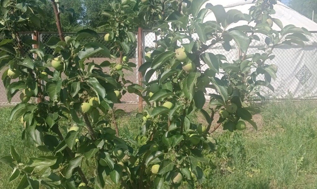 07c30bac-310d-4ba1-a4cf-2e9d8f1b714e (1)