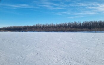 0aff7704-37dd-4513-a0d1-8b38a1a7521b