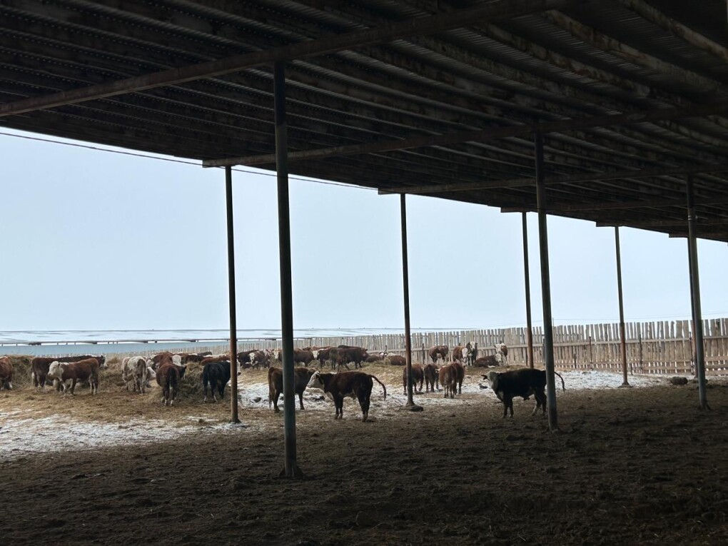 41162a55-0087-4ed4-a305-bd98be2a281c