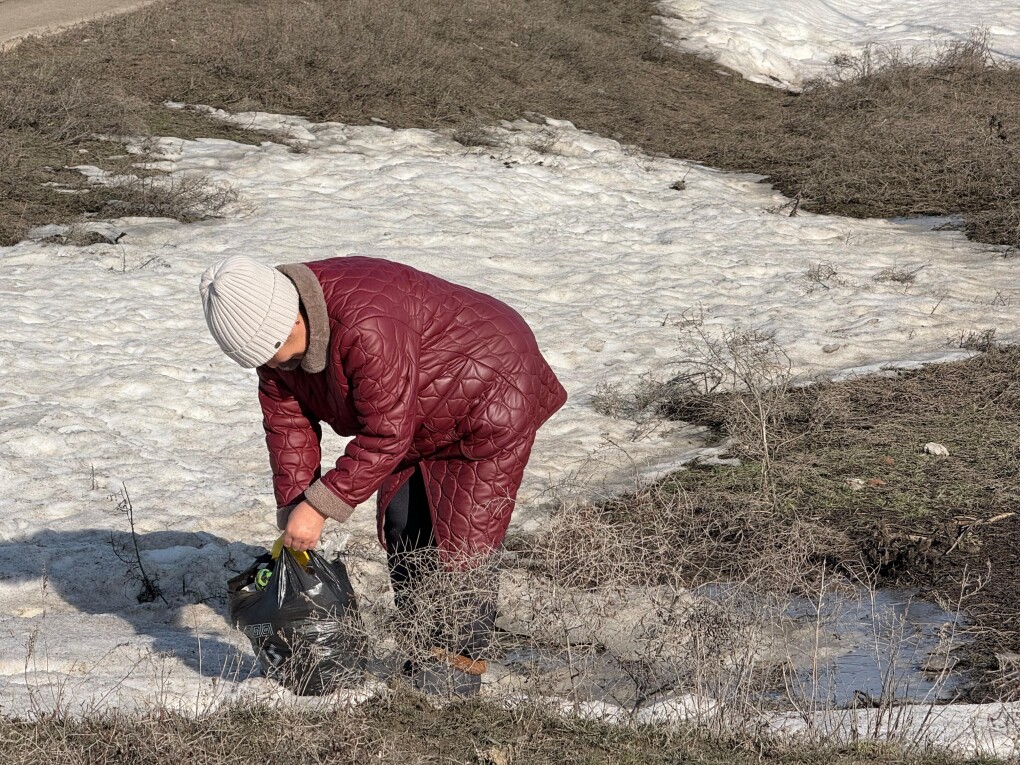 6788777f-e659-4f1e-b596-9020d8b1ad91