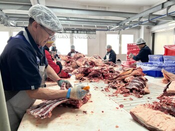 7d031705-a669-483b-a77a-e2ccc31c64c7