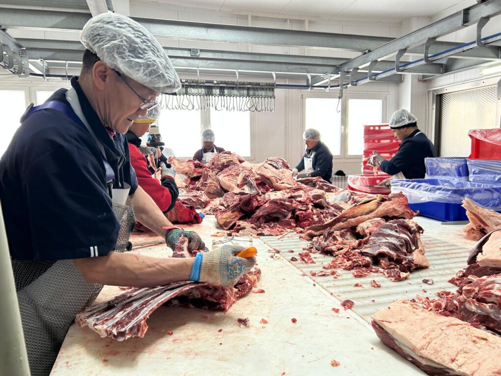 7d031705-a669-483b-a77a-e2ccc31c64c7