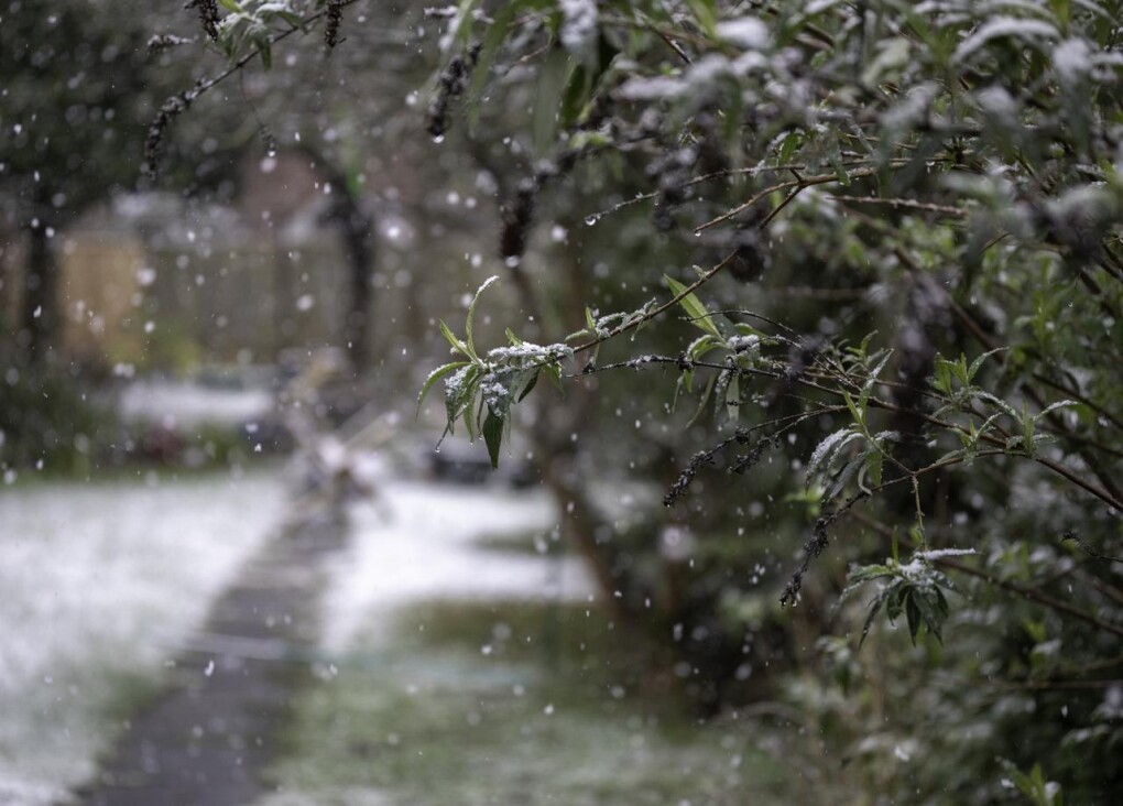 925024f4-639a-4396-9278-4948f033013f