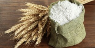 24 тонны казахстанской муки экспортированы из Костаная в Нью-Йорк