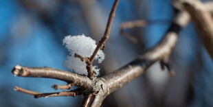 Ночью снег, днем дождь: синоптики рассказали о погоде в Казахстане на 14 марта