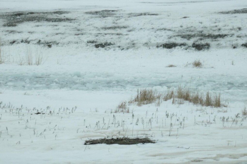 PHOTO-2026-03-03-20-32-50 (4)