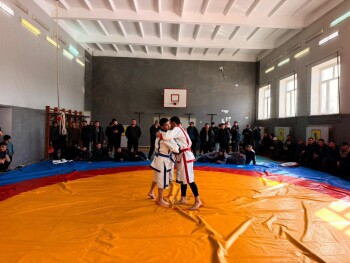 ВИС - нац спорт (11)