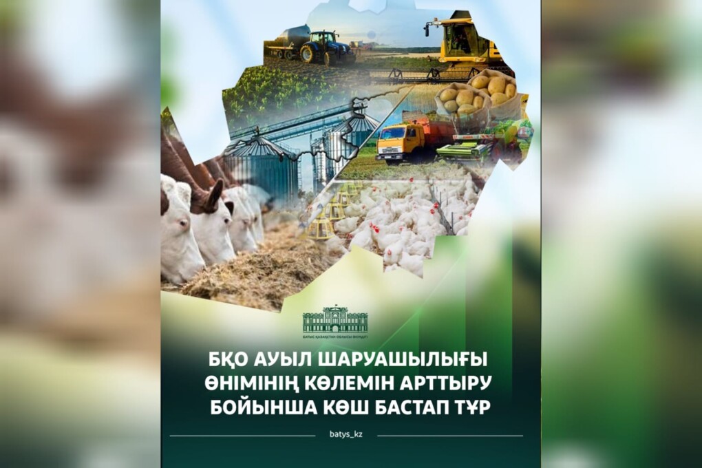 WhatsApp Image 2026-03-02 at 12.07.36