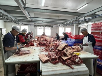 WhatsApp Image 2026-03-02 at 15.47.17 (2)