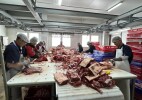 В районе Бәйтерек компания «KAZMEAT Акжайык» запустила откормочную площадку