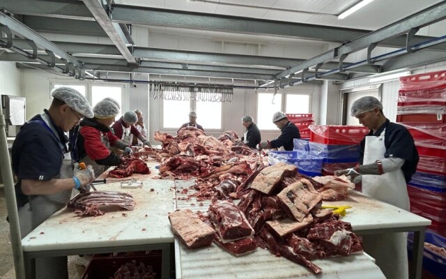 В районе Бәйтерек компания «KAZMEAT Акжайык» запустила откормочную площадку