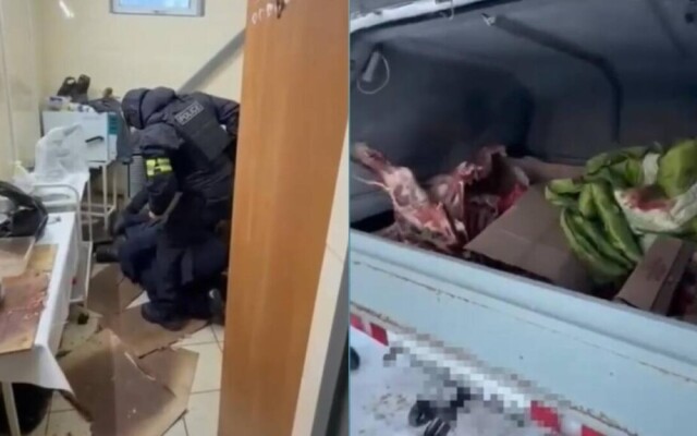 Похитил лошадей и обменял на авто: в ЗКО задержан скотокрад