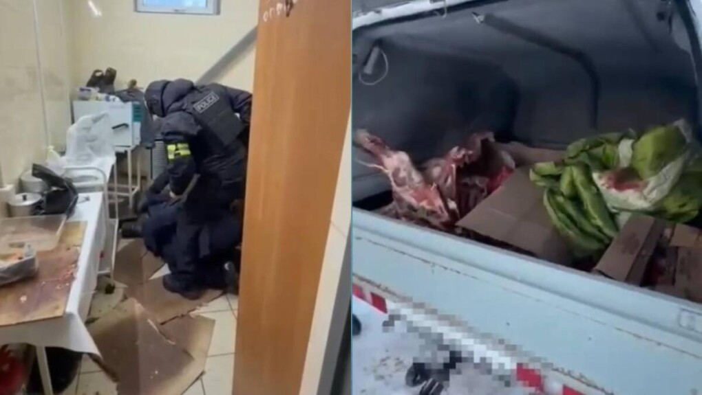 WhatsApp-Image-2026-03-04-at-13.26.14