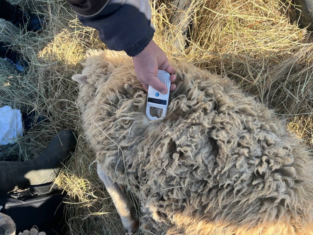 WhatsApp Image 2026-03-04 at 15.33.28