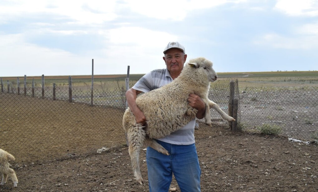 WhatsApp Image 2026-03-04 at 15.33.29