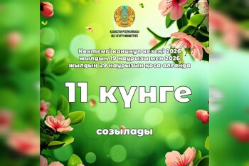 WhatsApp Image 2026-03-12 at 15.34.10