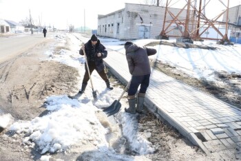 WhatsApp Image 2026-03-12 at 16.13.43