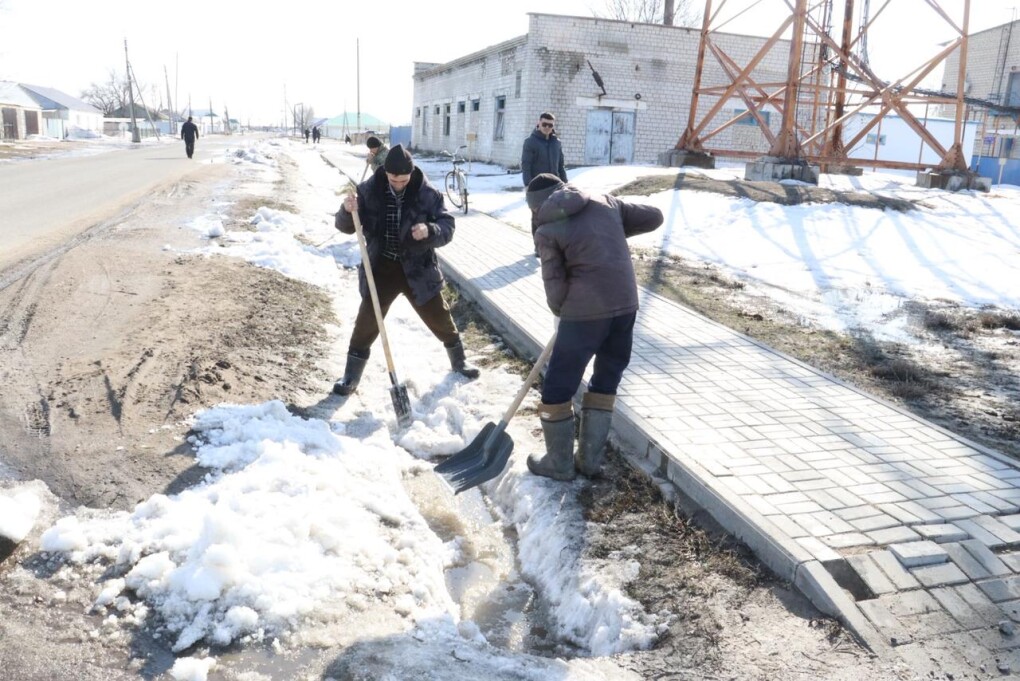 WhatsApp Image 2026-03-12 at 16.13.43