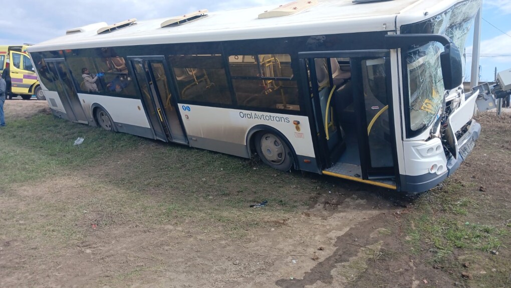 WhatsApp Image 2026-03-31 at 16.45.16