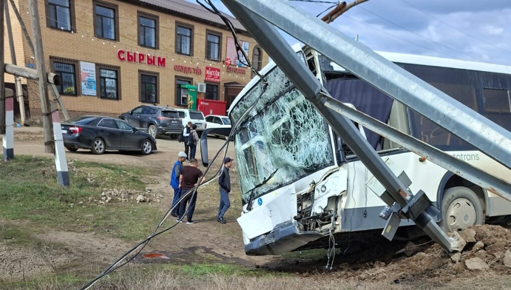 WhatsApp Image 2026-03-31 at 16.45.17