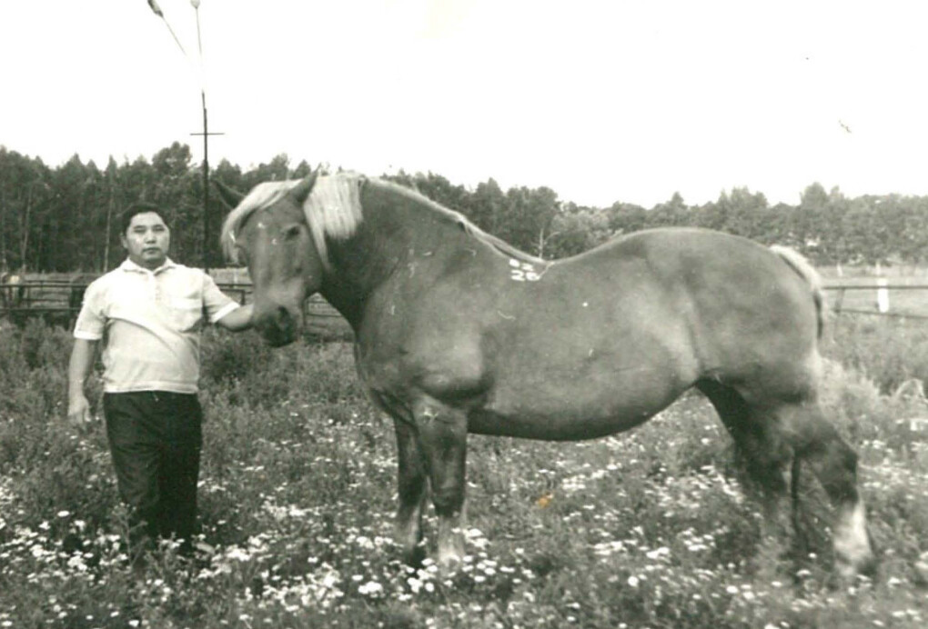 Журнал_Страница_11