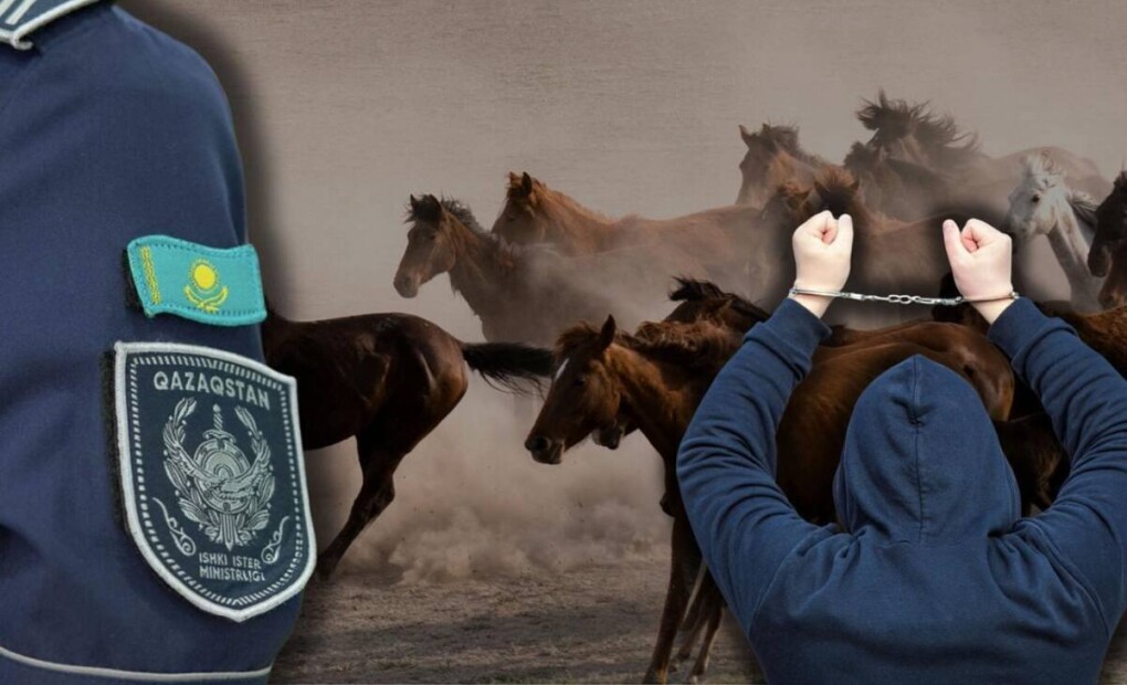 ab489d54-8512-4144-9976-58522e7ce735