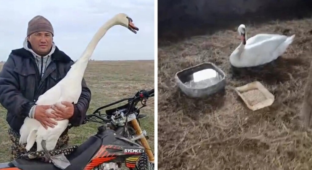 ae0f5137-5fc2-4f9e-bcf6-6407f1a6910a