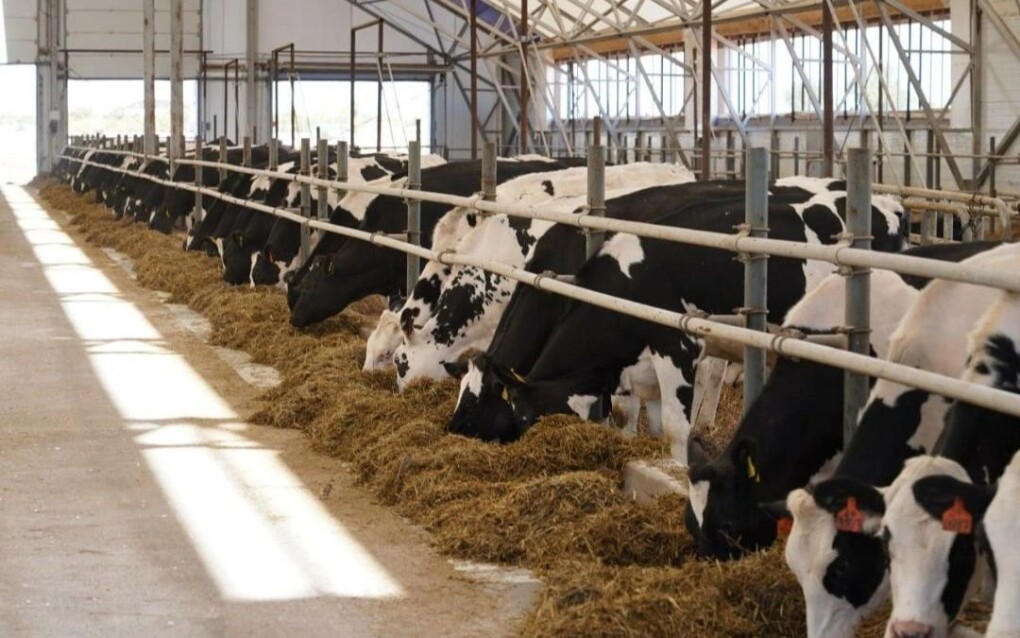 bde0bc24-ce8e-4970-9ddd-19a84fdd568c