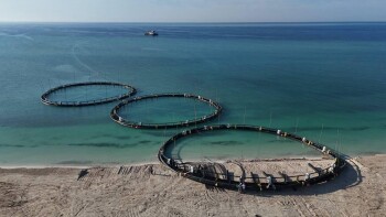 _gluster_2026_1_8_402e0de1d717c9e47128549ce859994f_1280x720