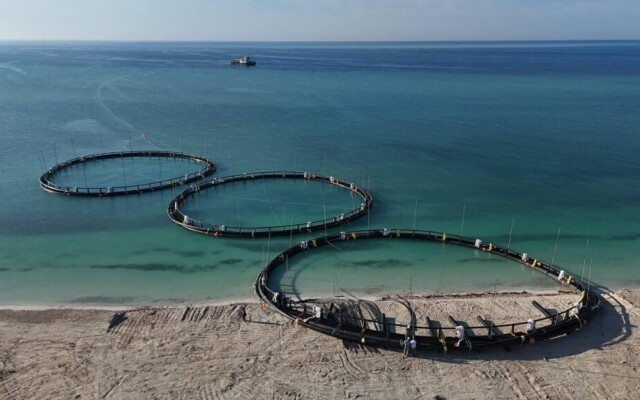 40 проектов в сфере аквакультуры реализуется в Казахстане