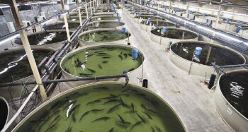 _gluster_2026_3_12_3c8b559f95b4b5c0519c8f1a2a49db26_1280x720