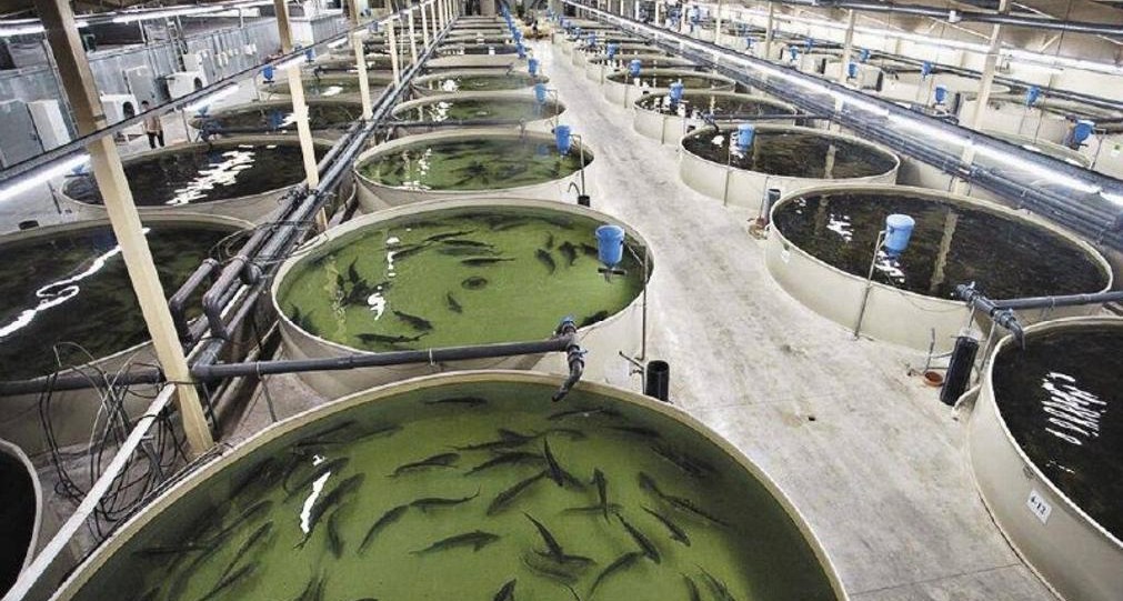 _gluster_2026_3_12_3c8b559f95b4b5c0519c8f1a2a49db26_1280x720