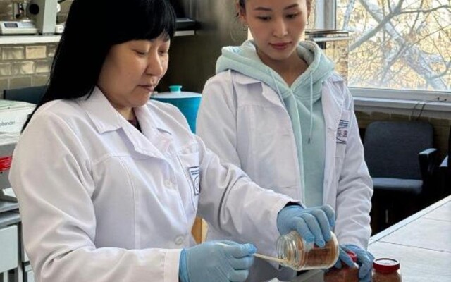 БАД для профилактики онкологических заболеваний разрабатывают казахстанские ученые