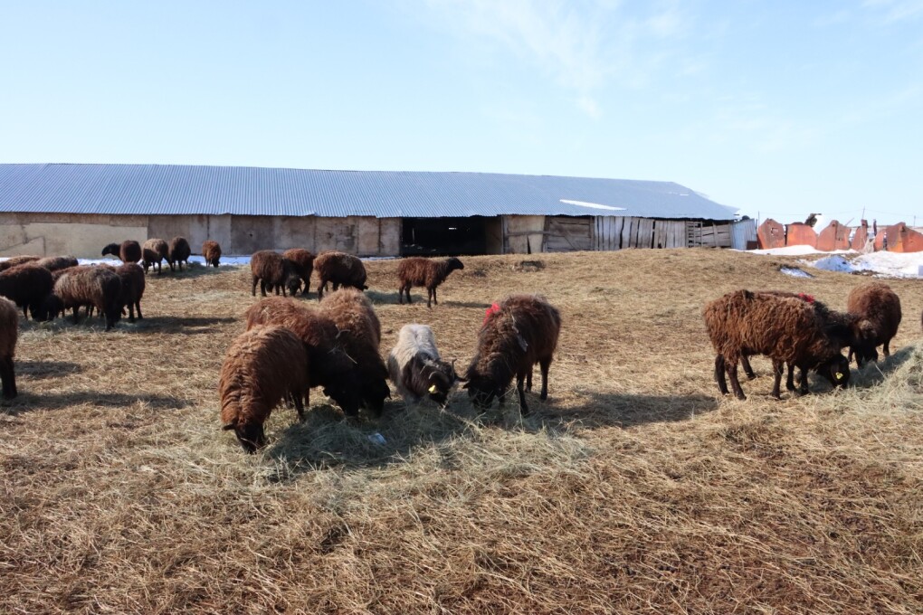 image-13-03-26-02-28-3