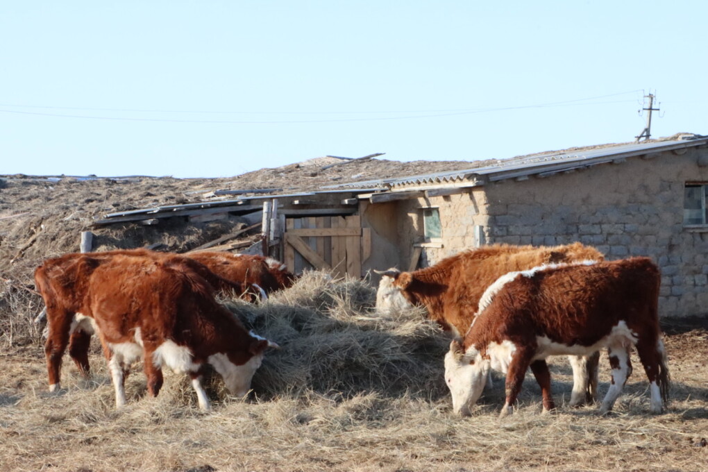 image-13-03-26-08-18-2