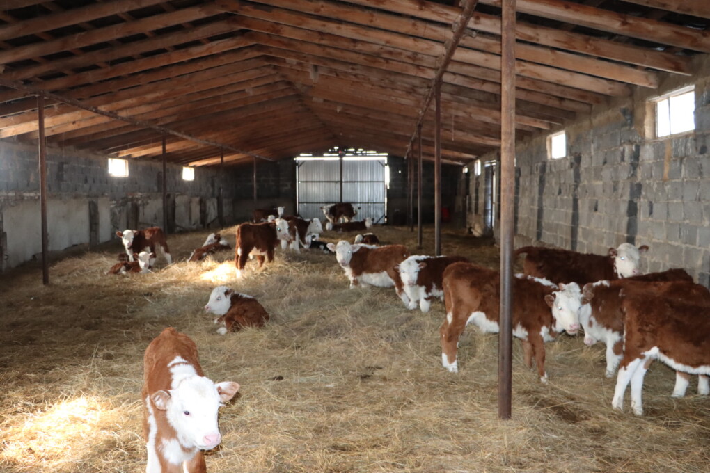 image-13-03-26-08-18-3