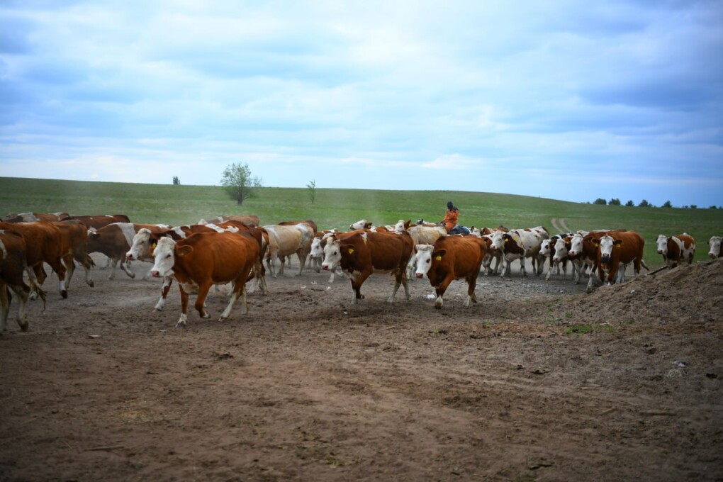 image-17-03-26-03-30