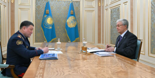 Глава государства принял министра внутренних дел Ержана Саденова