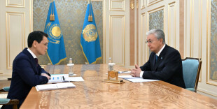 Глава государства принял председателя правления АО «Казахтелеком» Багдата Мусина