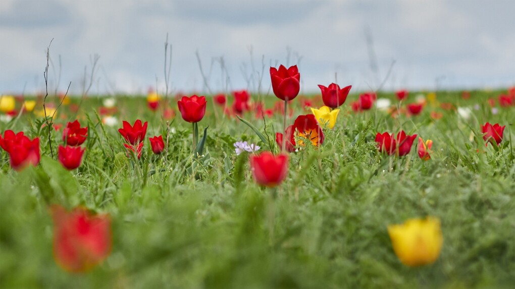 m6s08u1fs732o8tbl347gcjnvh6gdq80