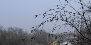 Какой будет погода в Казахстане в марте и апреле