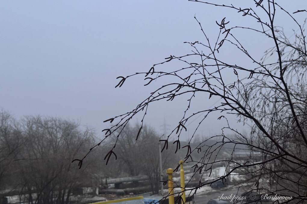 Какой будет погода в Казахстане в марте и апреле